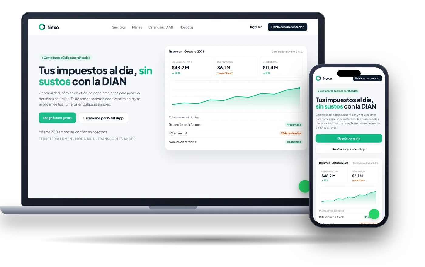 Concepto de sitio web para contadores